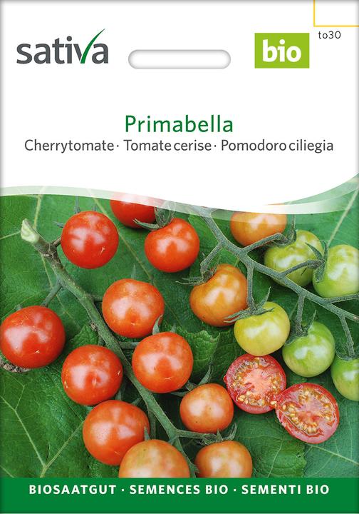 Actual product image Sativa Primabella – Cherrytomate Bio (Vegetable seeds)