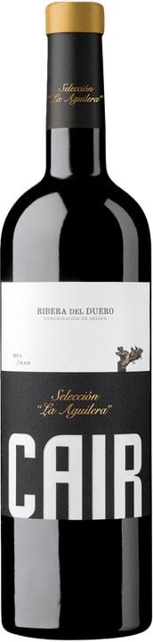 Actual product image Dominio de Cair Tierras de Cair Ribera del Duero DO (1 x 75 cl, 2019)