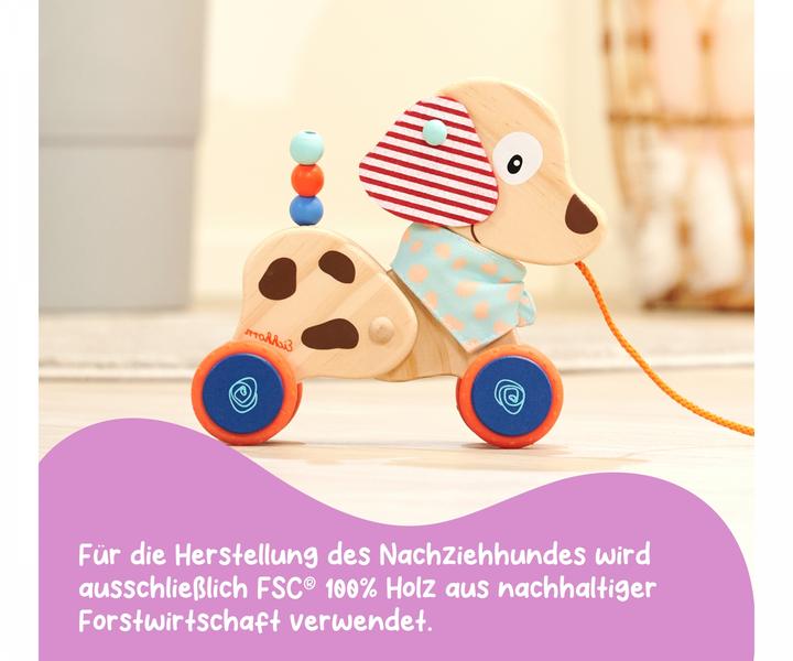 Produktbild Eichhorn Nachziehtier Hund