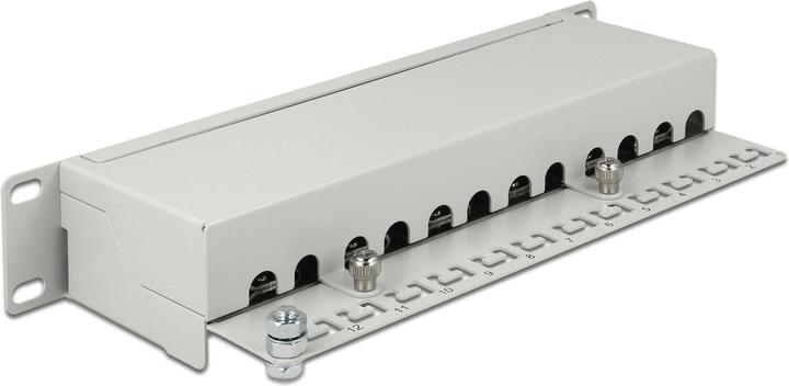 Image du produit Delock Panneau de brassage RJ-45 X 12