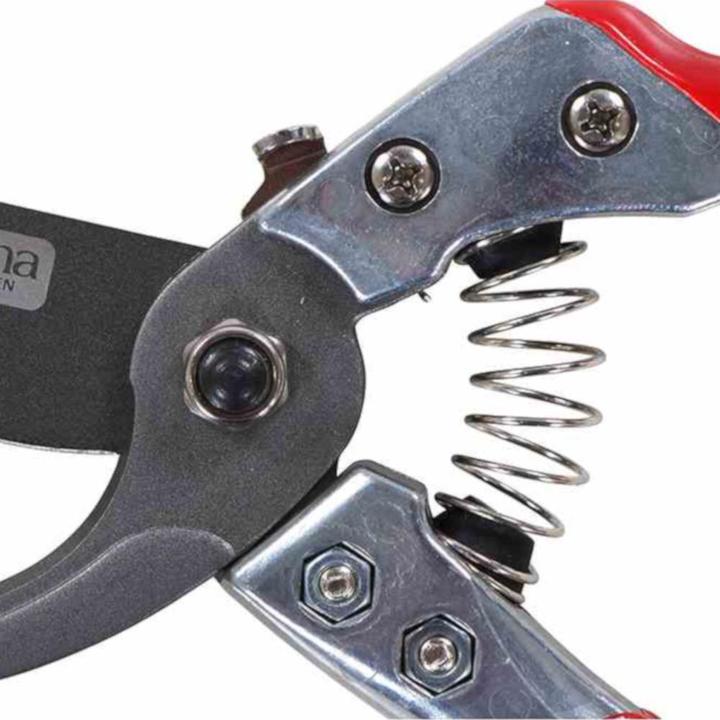 Image du produit Siena Garden Sécateurs