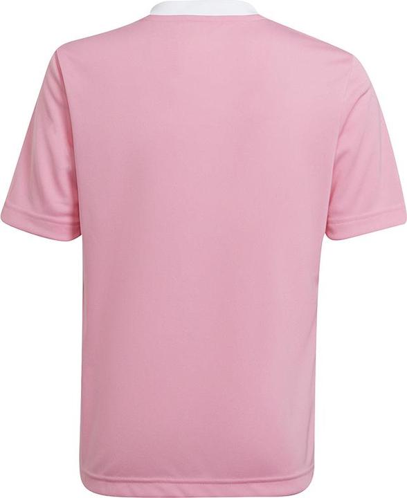 Produktbild adidas Entrada 22 Trikot (152)