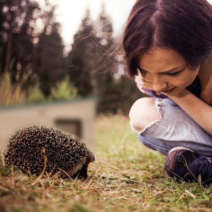 Actual product image Relaxdays Hedgehog House