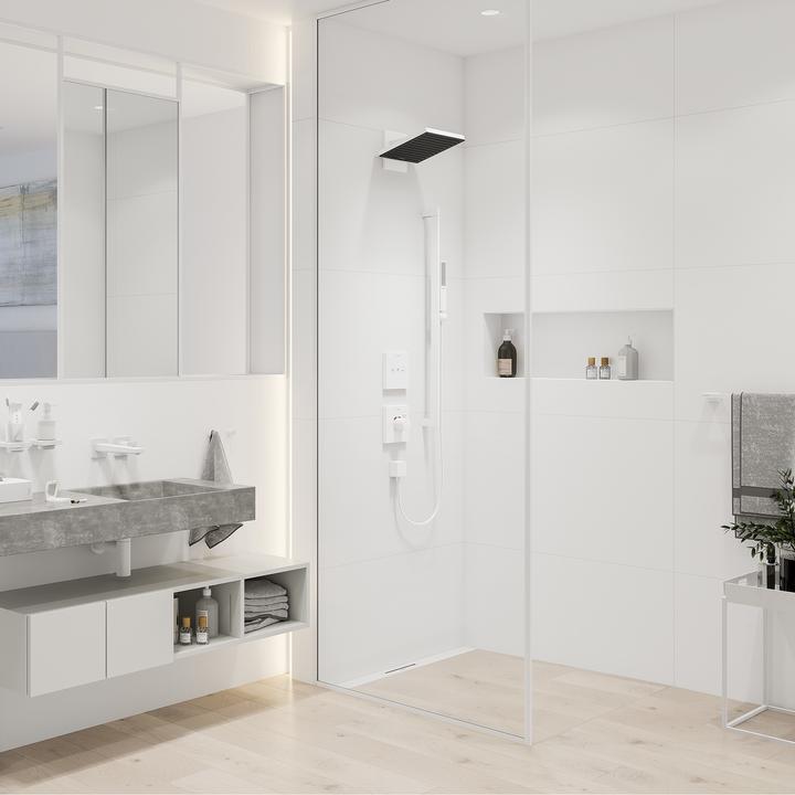 Produktbild hansgrohe Pulsify E Stabhandbrause 100, 1 Strahlart EcoSmart, 24320 (1 Strahlarten, 8 l/min)