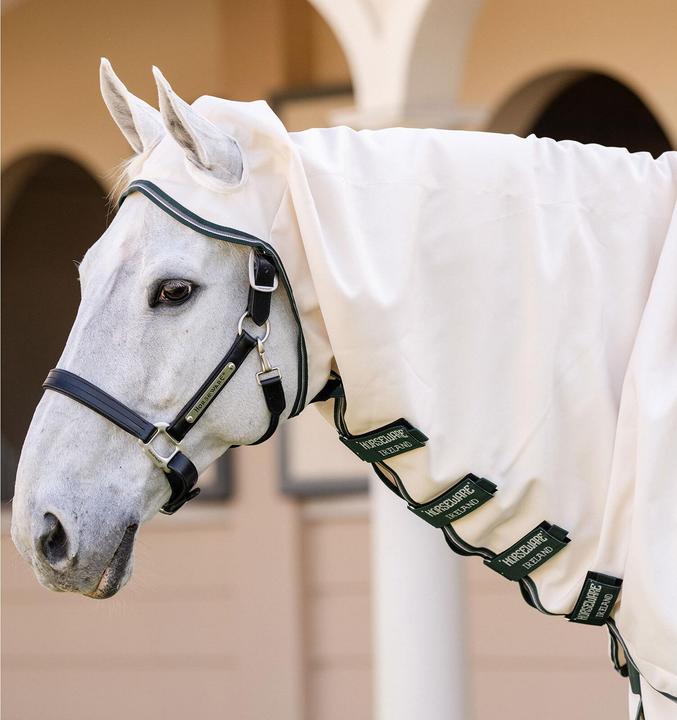 Image du produit Horseware Rambo XL (130 cm)