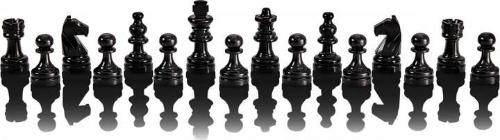 Actual product image Millennium Chess Computer Europe Chess Master 2