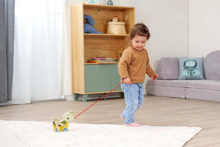 Actual product image Eichhorn EH pull-along grasshopper