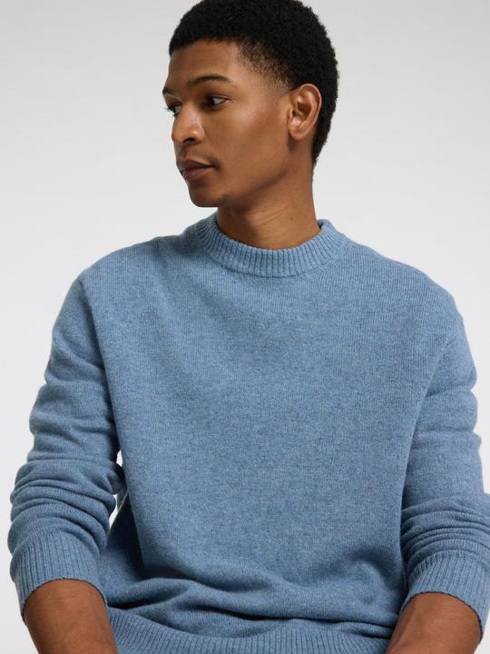 Actual product image Selected Homme 100% Woll Pullover (L)