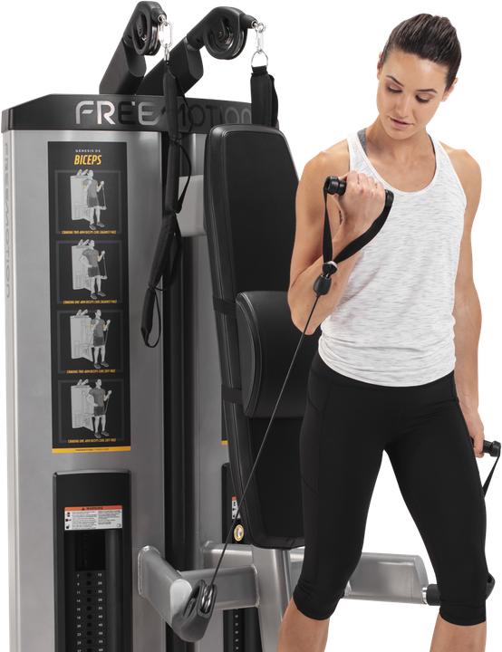 Produktbild Freemotion DS Abdominal / Bicep