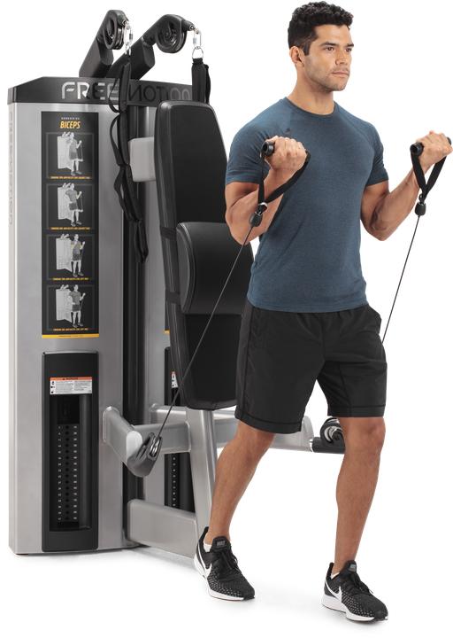 Produktbild Freemotion DS Abdominal / Bicep