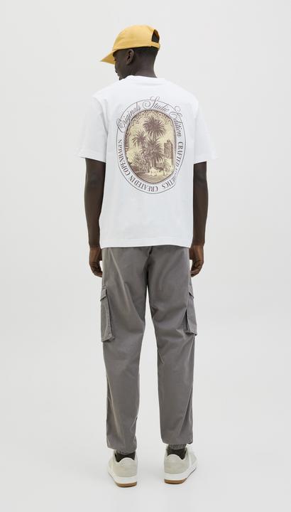 Immagine prodotto Jack & Jones Jpstkane Noah Cuffed Cargo Noos (S)
