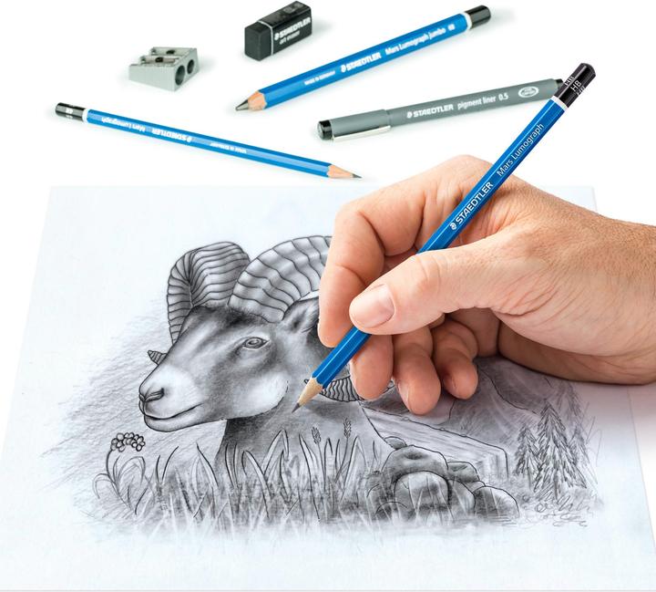 Produktbild Staedtler Gemischtes Zeichen Set (0.30 mm, M, 12x)