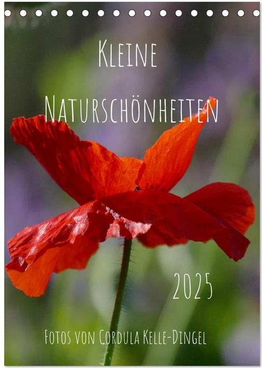 Immagine prodotto Kleine Naturschönheiten (Tischkalender 2025 DIN A5 hoch), Monatskalender (A5)