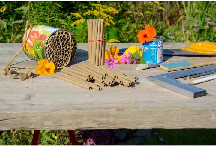 Actual product image Dobar Clementius (Wild bees)
