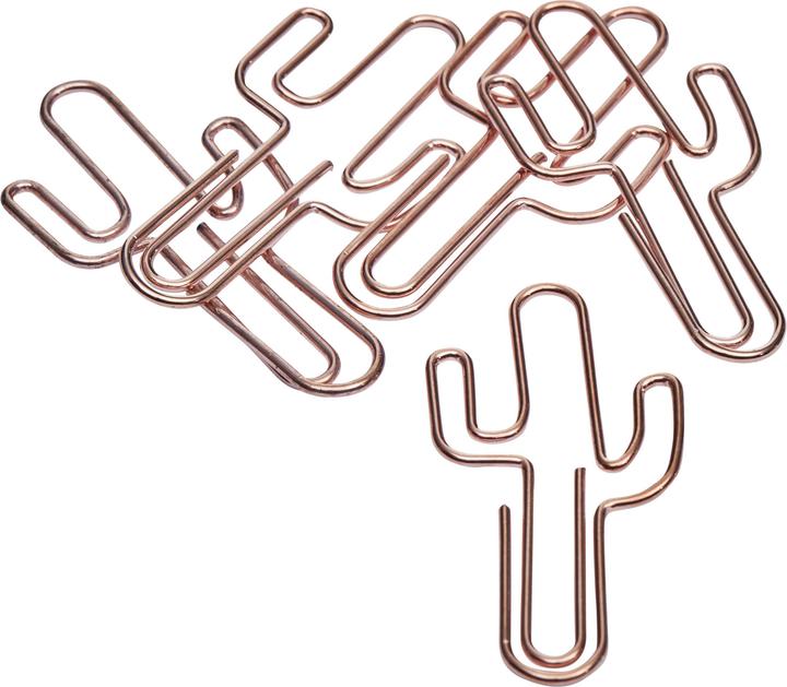 Actual product image micasa Rose Cactus