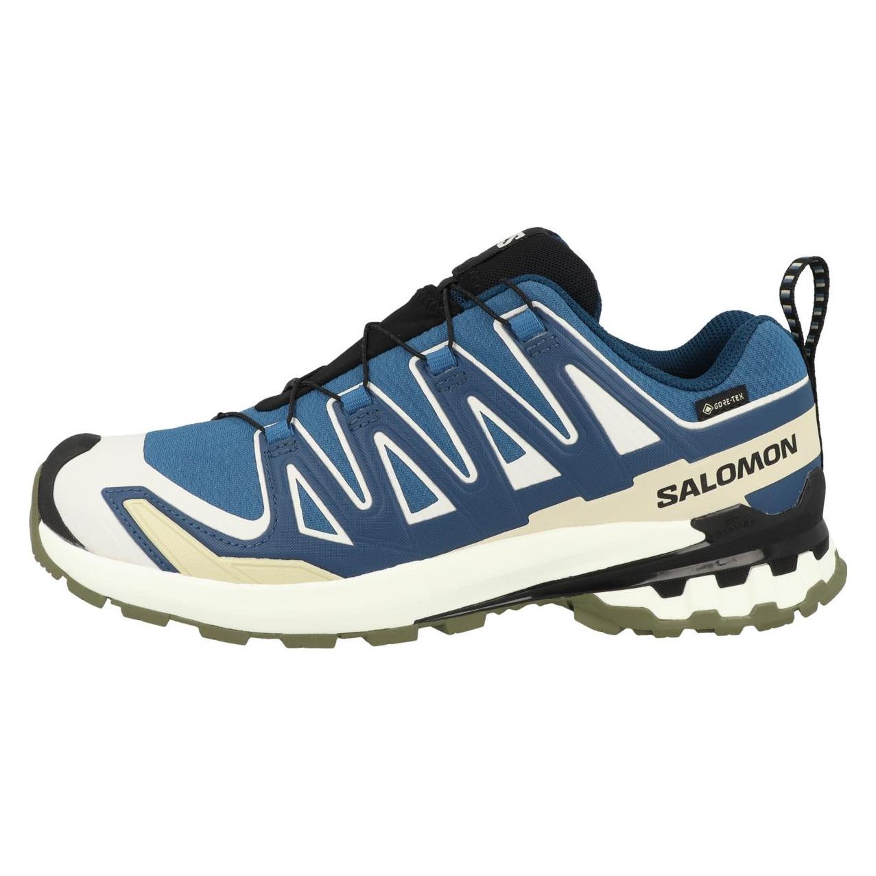 Salomon, Herren, Laufschuhe, Herren Xa Pro 3D V9 Gtx Laufschuhe (44), Blau