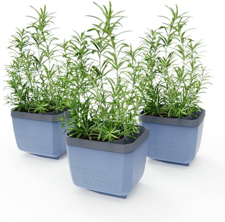Produktbild Gusta Garden Herbs Buddy Kräutertopf (49 x 15 x 14.50 cm)