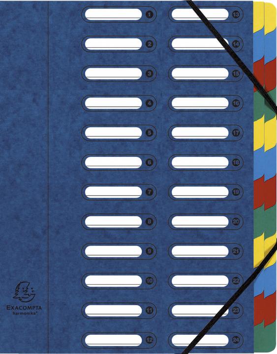 Actual product image Exacompta Folders (A4, 1 x)