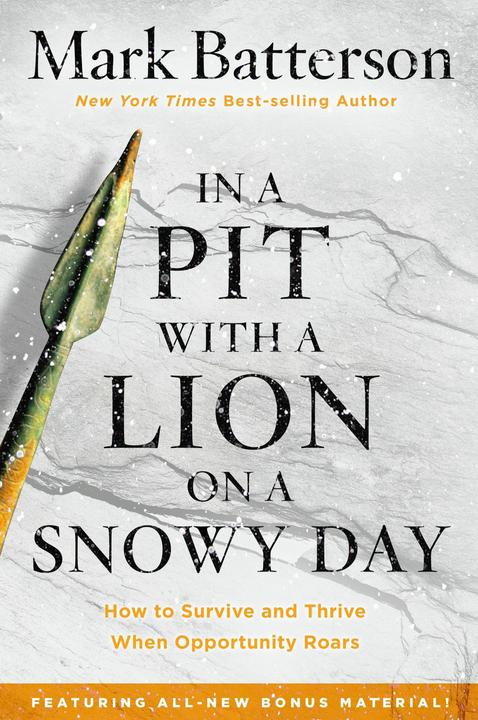 Produktbild In a Pit with a Lion on a Snowy Day (Englisch, Mark Batterson, 2016)