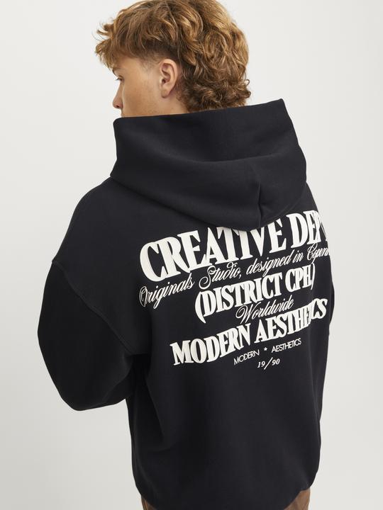 Image du produit Jack & Jones Jorroxbury Back Sweat Hood Ln (M)