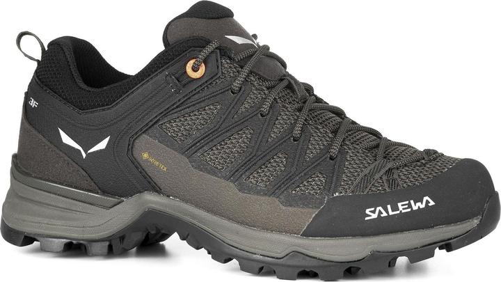 Produktbild Salewa Mountain Trainer Lite GORE-TEX (38.5)