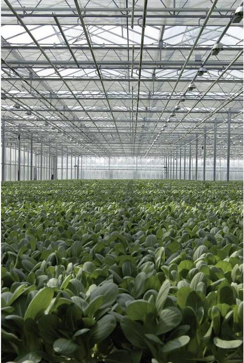 Image du produit Lascar Electronics Enregistreur multi-données EL-USB-2-LCD+