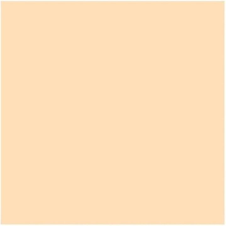 Actual product image MAC Cosmetics Studio Fix 24-Hour Smooth Wear Concealer (NW10)