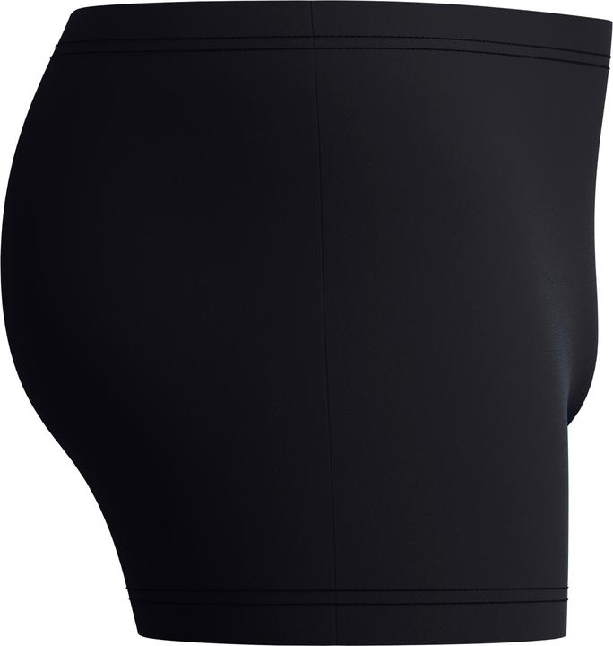 Image du produit Speedo Medley Logo Aquashort (8)