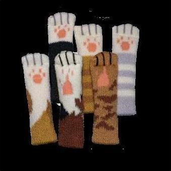 Produktbild Fisch Katz ENGLISCH (Englisch, 2 - 6 Spieler)