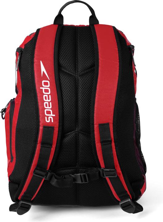 Actual product image Speedo Teamster 2.0 (35 l)