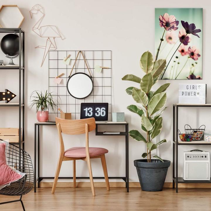 Image du produit Trenddeko Cosmos roses (60 x 40 cm)