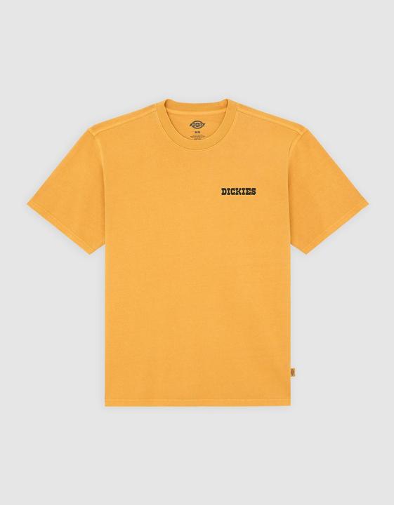 Produktbild Dickies Darrtown Ss Tee (S)