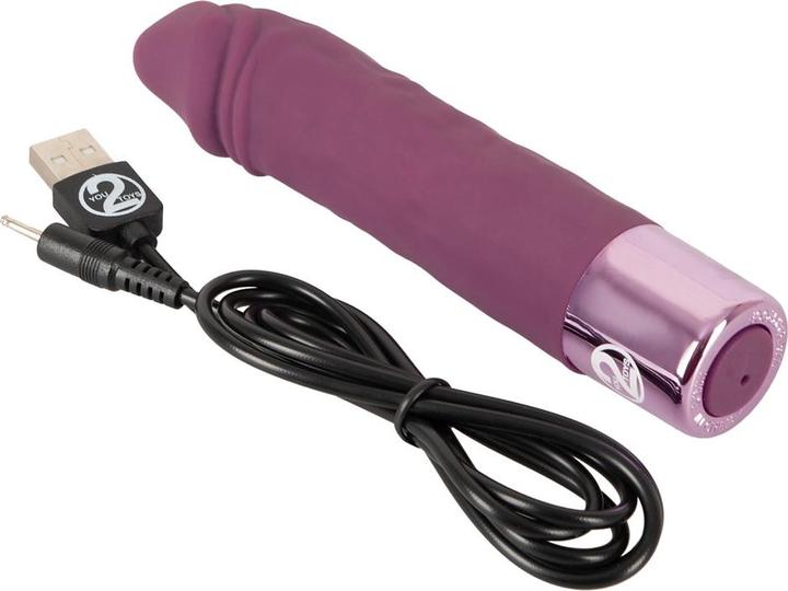 Produktbild You2Toys Realistic Vibe