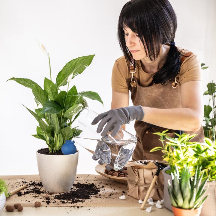 Image du produit Relaxdays 10x cônes d'argile (Cône d'argile)