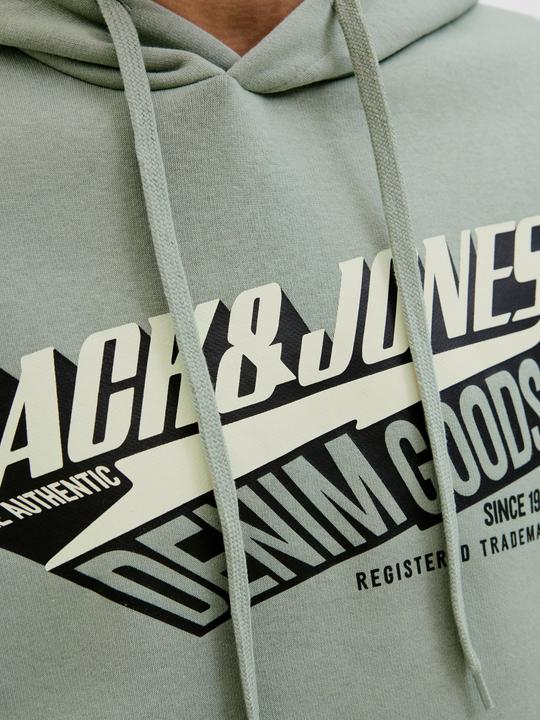 Actual product image Jack & Jones JJELOGO SWEAT HOOD 2 COL 25/26 NOOS (XXL)