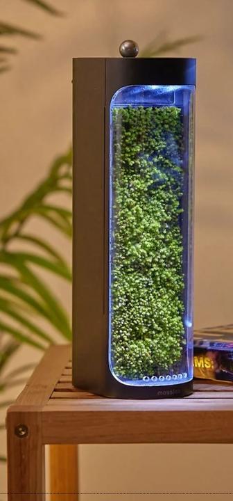 Actual product image Mosslab Air Humidifier Moss black