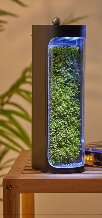 Immagine prodotto Mosslab Umidificatore d'aria Moss nero