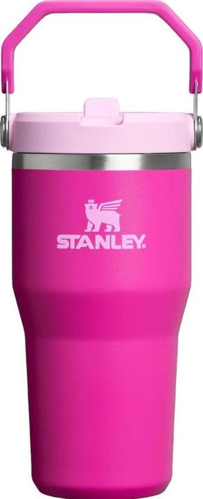 Image du produit Stanley 1913 IceFlow Flip Straw Becher (0.59 l)