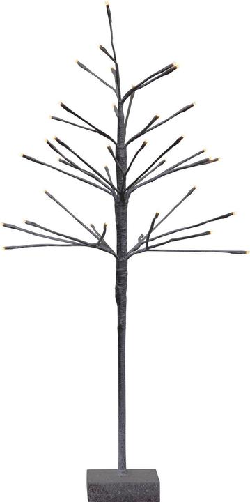 Actual product image Star Trading Snowfrost
