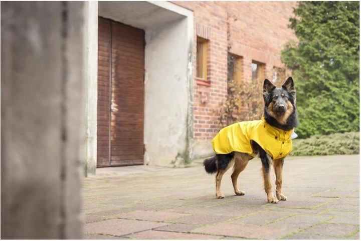 Image du produit Rukka Stream (75, Manteau pour chien)