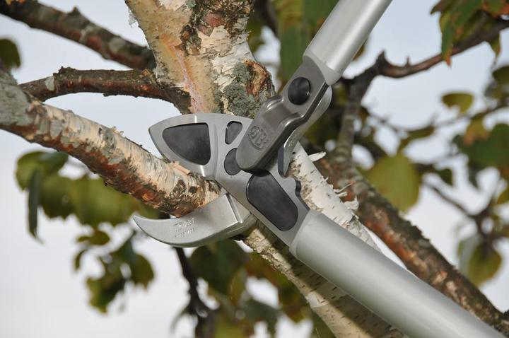 Actual product image Felco Two-hand lopping shears Single