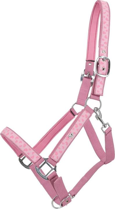 Immagine prodotto Qhp Lyvia