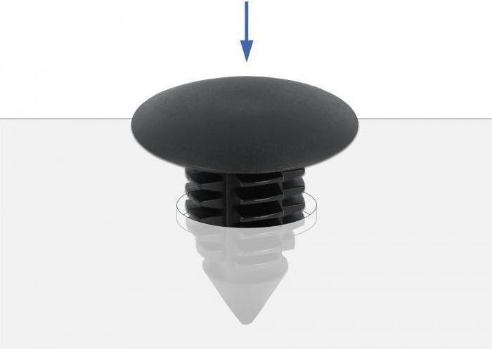 Image du produit Delock Clip de sapin noir 10 pièces