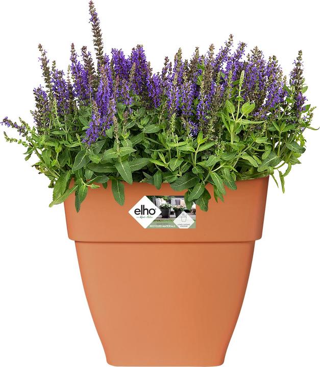 Actual product image Elho Flower box (30 x 29 x 28 cm)