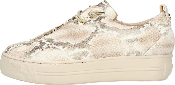 Boa Antic Biscuit 079