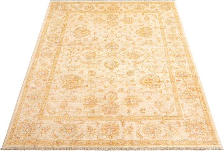 Produktbild Vidal Ziegler