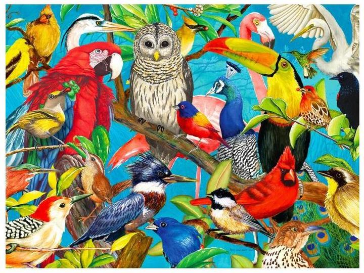 Actual product image Enjoy Puzzle ENJOY-2032 - Feathered Frenzy, Puzzle, 1000 pieces (1000 pieces)