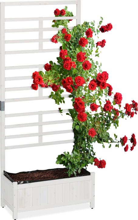 Immagine prodotto Relaxdays Fioriera a muro a traliccio (71.50 cm)