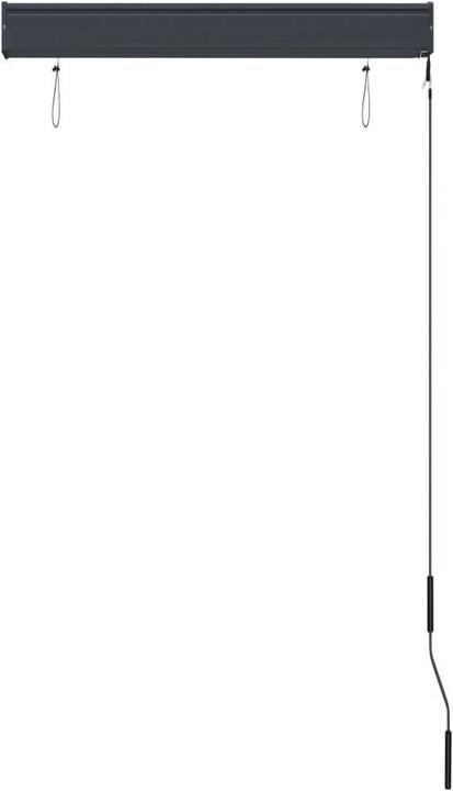 Produktbild vidaXL Aussenrollo (80 x 250 cm)