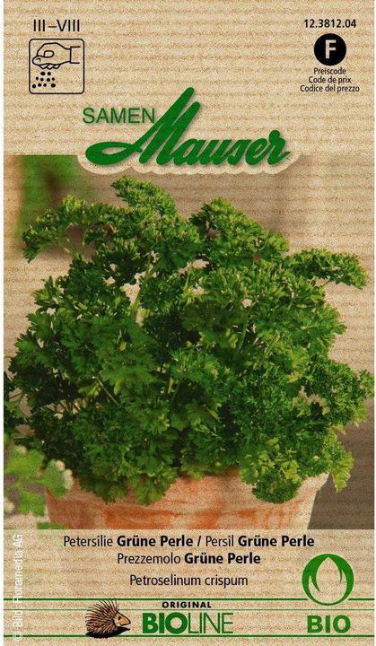 Actual product image Samen Mauser Green pearl (Herb seeds)